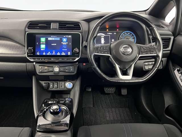 リーフ X(14枚目)