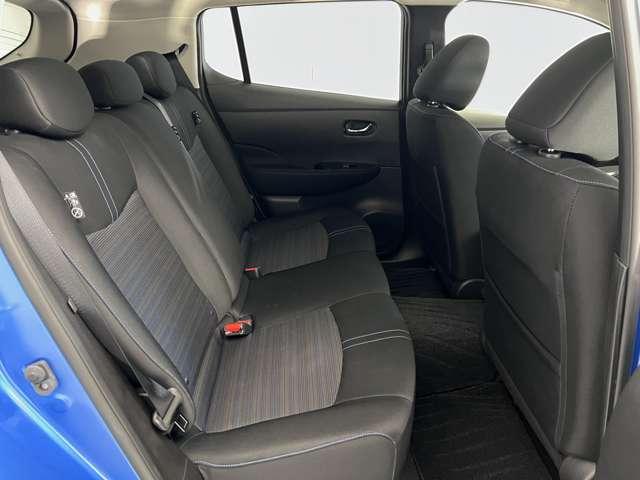 リーフ X(16枚目)