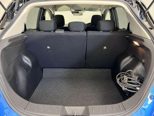 リーフ X(17枚目)