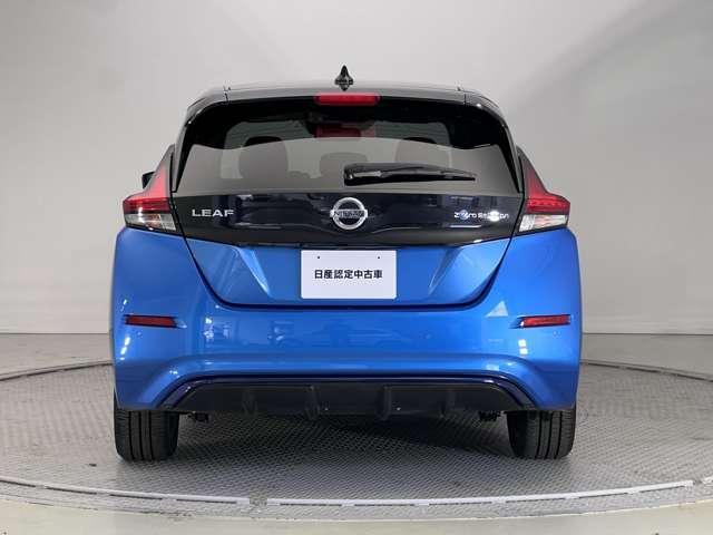 リーフ X(18枚目)