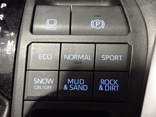 ＲＡＶ４ Ｘ　フルセグテレビ　点検記録簿　バックカメラ　ＤＶＤ再生　クルコン　スマートキー　ＥＴＣ　４ＷＤ　メモリーナビ　盗難防止装置　カーテンエアバッグ　ＡＢＳ　キーフリ　エアバッグ　アルミホイール　ナビ・ＴＶ（16枚目）