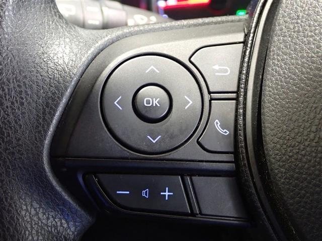 ＲＡＶ４ Ｘ　フルセグテレビ　点検記録簿　バックカメラ　ＤＶＤ再生　クルコン　スマートキー　ＥＴＣ　４ＷＤ　メモリーナビ　盗難防止装置　カーテンエアバッグ　ＡＢＳ　キーフリ　エアバッグ　アルミホイール　ナビ・ＴＶ（19枚目）