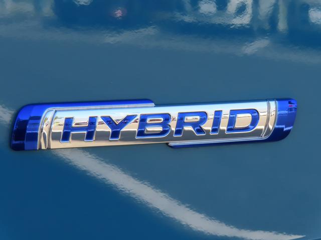 ＨＹＢＲＩＤ　ＦＸ－Ｓ　３型(9枚目)