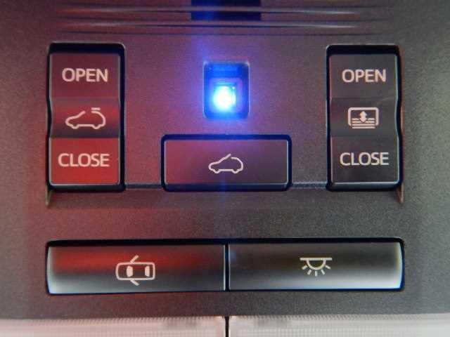 プレミアムアドバンスドPKG ムーンルーフ ナビTV(7枚目)
