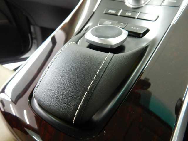 2.4G ナビ/TV バックカメラ パワーウィンドウ Bモニタ Aクルーズ Wエアバック LEDヘッド ナビTV スマートキープッシュスタート オートライト イモビ 衝突安全ボディ パワーシート フロントカメラ 電格ミラー ABS(31枚目)