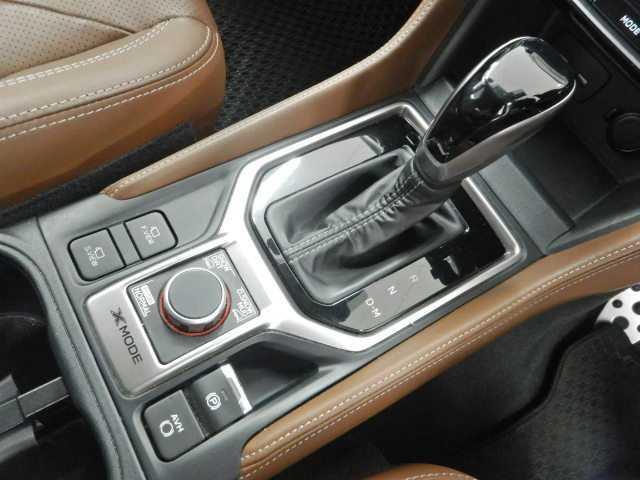 フォレスター 2.0Advance ルーフレール 革 8インチナビ/TV ヒーター メモリ-ナビ クルコン キーレス ETC車載器 スマートK PWシート エアB サイドエアB カワシート PS ナビTV ESC パワーウィンドー LEDランプ フルオートエアコン DVD(9枚目)