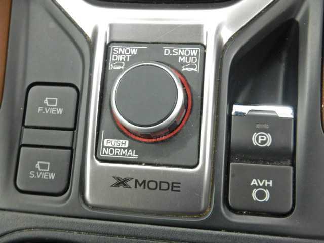 フォレスター 2.0Advance ルーフレール 革 8インチナビ/TV ヒーター メモリ-ナビ クルコン キーレス ETC車載器 スマートK PWシート エアB サイドエアB カワシート PS ナビTV ESC パワーウィンドー LEDランプ フルオートエアコン DVD(36枚目)