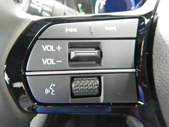 ステップワゴン ２．０ｅ：ＨＥＶ　ＳＰＡＤＡ　ＰＲＥＭＩＵＭ　ＬＩＮＥ　７人　マルチカメラ　両側自動ドア　Ｆセグ　ＵＳＢ接続　クリアランスソナ　クルーズＣ　助手席エアバッグ　電格ミラー　スマートＫ　シ－トヒ－タ－　バックカメラ　オットマン　ＬＥＤライト　キーフリー　３列シート（29枚目）