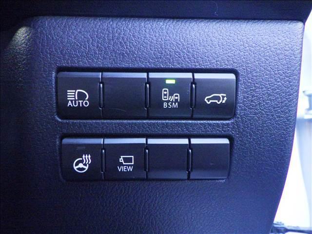 ＮＸ ＮＸ３００　バージョンＬ　全方位カメラ　純正ナビ／ＴＶ　オートハイビーム　シートクーラー　全周囲　ナビＴＶ　衝突被害軽減　Ｓキー　キーレス　ＥＴＣ車載器　本革シート　クルコン　ＬＥＤヘッド　バックモニター　横滑り防止装置　シートヒーター　パワーシート（11枚目）