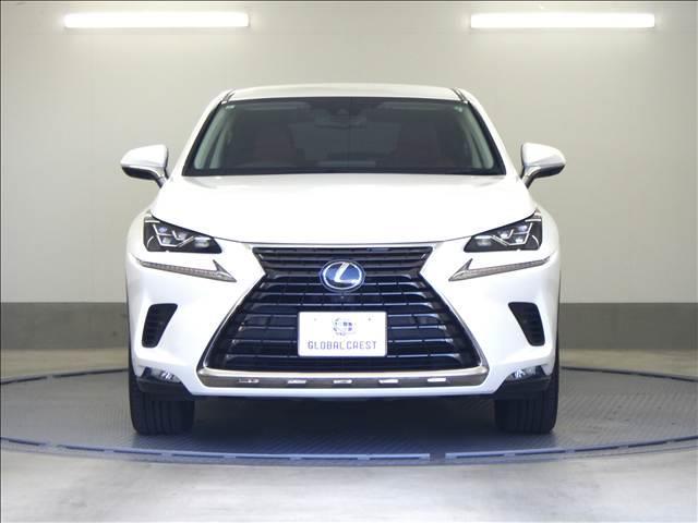 ＮＸ ＮＸ３００　バージョンＬ　全方位カメラ　純正ナビ／ＴＶ　オートハイビーム　シートクーラー　全周囲　ナビＴＶ　衝突被害軽減　Ｓキー　キーレス　ＥＴＣ車載器　本革シート　クルコン　ＬＥＤヘッド　バックモニター　横滑り防止装置　シートヒーター　パワーシート（13枚目）