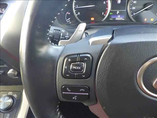 ＮＸ ＮＸ３００　バージョンＬ　全方位カメラ　純正ナビ／ＴＶ　オートハイビーム　シートクーラー　全周囲　ナビＴＶ　衝突被害軽減　Ｓキー　キーレス　ＥＴＣ車載器　本革シート　クルコン　ＬＥＤヘッド　バックモニター　横滑り防止装置　シートヒーター　パワーシート（33枚目）