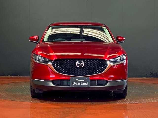 �y�k�d�c�w�b�h���C�g�z��Ԃ����邭�N���ɏƂ炵�܂��̂ŁA���S�������サ�܂��B