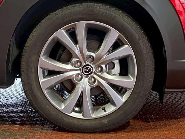 �y�����A���~�z�C�[���z�����Ȃ�ł͂̑���肩��{�f�B�J���[���ۗ������܂��B