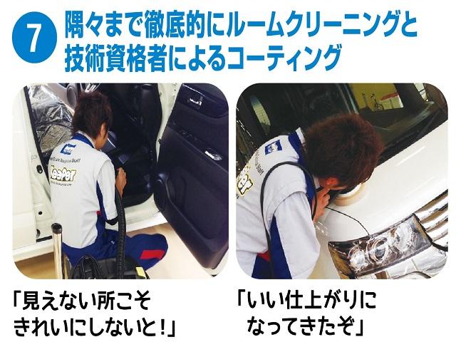 ハイブリッドX(67枚目)