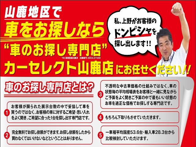 ハイブリッドX(78枚目)