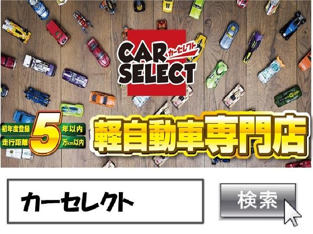ハイブリッドX(80枚目)