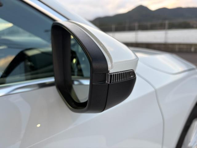 �h�A�~���[�E�B���J�[