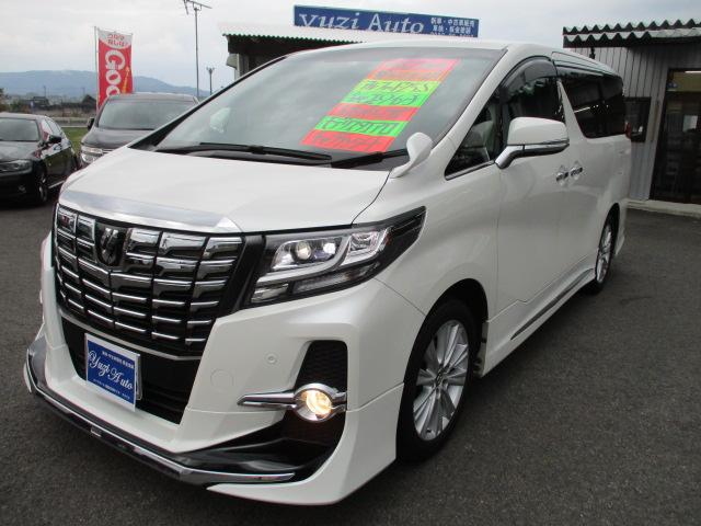 2.5S モデリスタエアロ 9インチナビ7人乗り(16枚目)