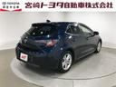 TOYOTA COROLLASPORT