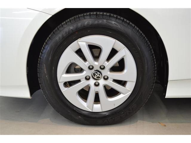 ���S�Q�D���ԗ������ؖ����t�����@�g���^�F��ԗ��������ɂ�錵���Ȍ����I�C�����͂������A�킸���ȃL�Y�����������`�����܂��I�@�N���}�̏�Ԃ��ЂƂ߂ł킩��܂��B