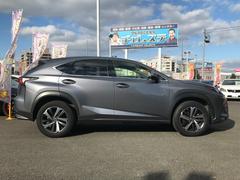 �ָ������������������⾵��ޤ������ѳΤ��ʥ����åդ����Ҥ��Ƥ���ޤ��Τǡ���������Υ��ե��������ӥ��⽼�¡������ͤ���Ĺ�����դ��礤�򤵤��Ƥ����������鹬���Ǥ������ҡ����������ꤤ�פ��ޤ��� 3