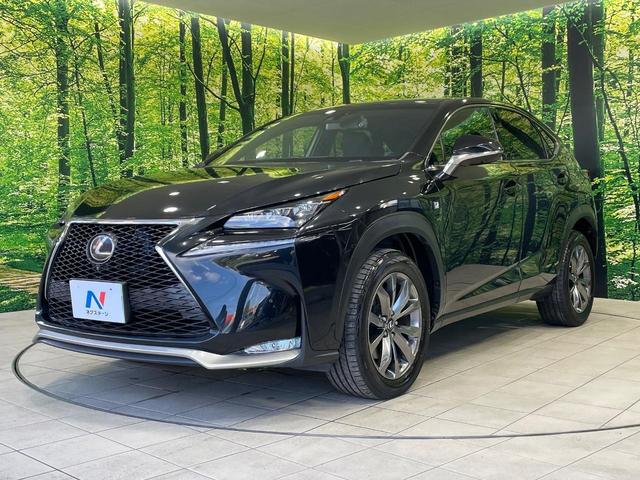 NX NX200t Fスポーツ ターボ サンルーフ 純正SDナビ 全周囲カメラ 衝突軽減 100V電源 レーダークルーズ 禁煙車 電動リアゲート レザーシート 前席シートエアコン 前席パワーシート ドラレコ ETC コーナーセンサー(24枚目)