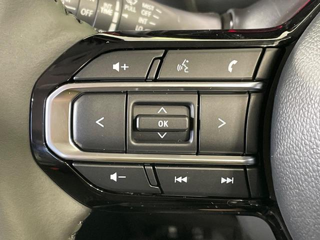 スペーシアカスタム ハイブリッドXS 届出済未使用車 純正9型ナビ 両側電動ドア 全周囲カメラ 衝突軽減装置 ハーフレザーシート コーナーセンサー スマートキー LEDヘッド 純正15インチアルミ オートハイビーム 車線逸脱警報(33枚目)