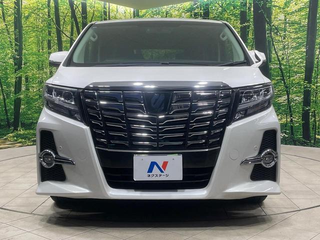 アルファード 2.5S Cパッケージ 両側電動ドア BIG-X11型ナビ 後席モニター バックカメラ 衝突軽減装置 レーダークルーズ 電動リアゲート ハーフレザーシート コーナーセンサー スマートキー LEDヘッド ビルトインETC(15枚目)