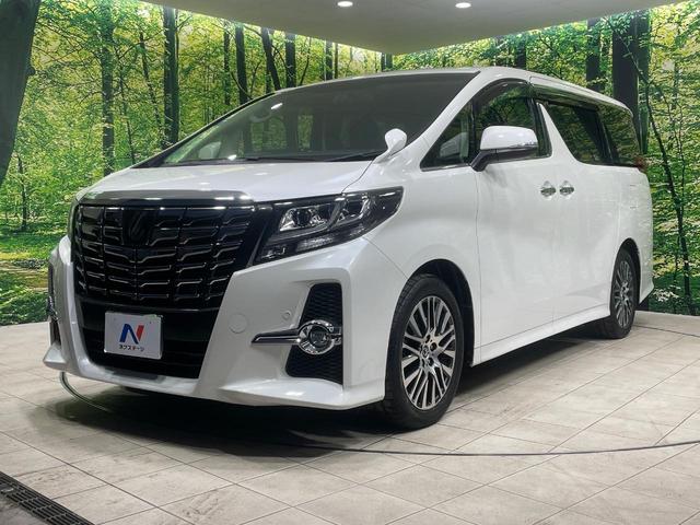 アルファード 2.5S Cパッケージ 両側電動ドア BIG-X11型ナビ 後席モニター バックカメラ 衝突軽減装置 レーダークルーズ 電動リアゲート ハーフレザーシート コーナーセンサー スマートキー LEDヘッド ビルトインETC(24枚目)