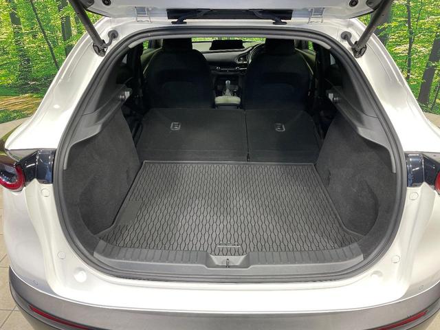 ＣＸ－３０ ２０Ｓ　ブラックトーンエディション　マツダコネクト８インチ　全周囲カメラ　衝突軽減システム　レーダークルーズ　ドラレコ　ＥＴＣ　ＬＥＤヘッド　純正１８インチＡＷ　電動リアゲート　スマートキー　デュアオートエアコン　アイド（10枚目）