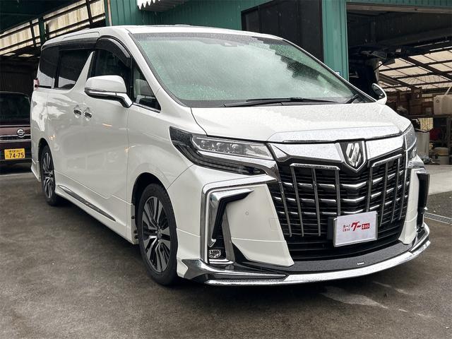 アルファード ２．５Ｓ　Ｃパッケージ　ドライブレコーダー　ＥＴＣ　バックカメラ　ナビ　ＴＶ　クリアランスソナー　オートクルーズコントロール　レーンアシスト　衝突被害軽減システム　両側電動スライドドア　オートマチックハイビーム　オートライト（13枚目）