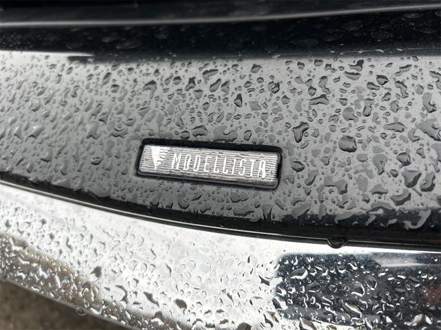 アルファード ２．５Ｓ　Ｃパッケージ　ドライブレコーダー　ＥＴＣ　バックカメラ　ナビ　ＴＶ　クリアランスソナー　オートクルーズコントロール　レーンアシスト　衝突被害軽減システム　両側電動スライドドア　オートマチックハイビーム　オートライト（25枚目）