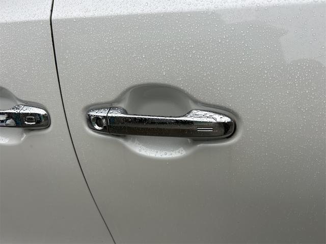 アルファード ２．５Ｓ　Ｃパッケージ　ドライブレコーダー　ＥＴＣ　バックカメラ　ナビ　ＴＶ　クリアランスソナー　オートクルーズコントロール　レーンアシスト　衝突被害軽減システム　両側電動スライドドア　オートマチックハイビーム　オートライト（27枚目）