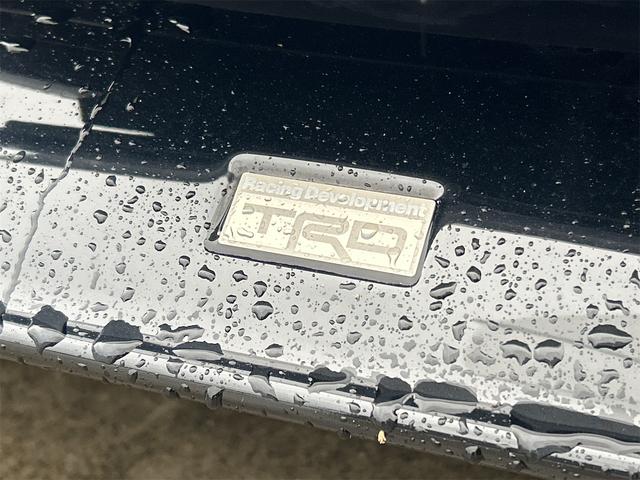 プリウスPHV Sナビパッケージ ドライブレコーダー クリアランスソナー レーンアシスト オートクルーズコントロール 衝突被害軽減システム バックカメラ ナビ TV アルミホイール オートマチックハイビーム オートライト(25枚目)