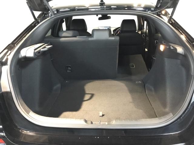 シビック ＬＸ　リアカメラ　シートヒーター　ＥＴＣ　地デジ　オートエアコン　サイドエアバッグ　盗難防止装置　ＬＥＤヘッドライト　クルーズコントロール　ターボ　横滑り防止装置　ＵＳＢ接続　ＡＢＳ　キーフリー　エアバッグ（11枚目）