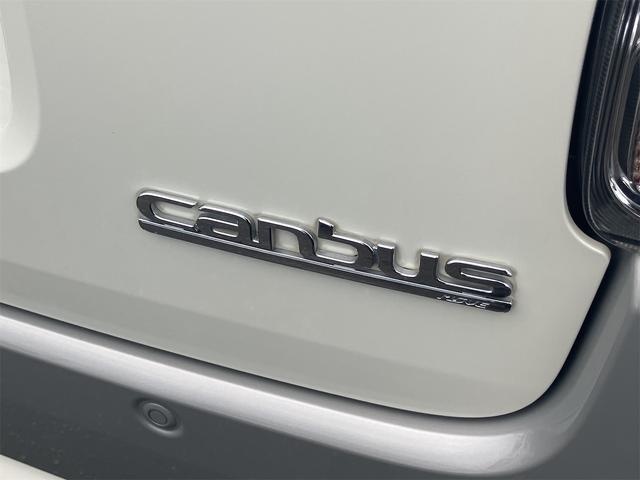 ムーヴキャンバス Gブラックインテリアリミテッド SAIII 全周囲カメラ 両側電動スライドドア ナビ 衝突被害軽減システム オートマチックハイビーム LEDヘッドランプ スマートキー アイドリングストップ 電動格納ミラー ベンチシート CVT 盗難防止システム(34枚目)