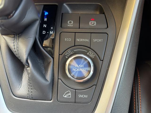 ＲＡＶ４ アドベンチャー　４ＷＤ　全周囲カメラ　クリアランスソナー　オートクルーズコントロール　レーンアシスト　パワーシート　衝突被害軽減システム　ナビ　ＴＶ　オートマチックハイビーム　オートライト　ＬＥＤヘッドランプ（8枚目）