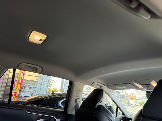 ＲＡＶ４ アドベンチャー　４ＷＤ　全周囲カメラ　クリアランスソナー　オートクルーズコントロール　レーンアシスト　パワーシート　衝突被害軽減システム　ナビ　ＴＶ　オートマチックハイビーム　オートライト　ＬＥＤヘッドランプ（40枚目）