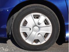 �ե꡼�ɥϥ��֥�å� ���㥹�ȥ��쥯����󡡣��;�ꡡ��¦�ѥ���饤�ɥɥ������롼������ȥ����롡���ޡ��ȥ��� 1101968A30251228W022 4