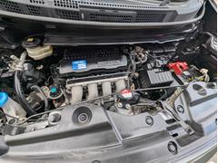 �ե꡼�ɥ��ѥ��� �ǡ����㥹�ȥ��쥯����󡡣��;�ꡡ�����ȣȣɣĥإåɥ饤�ȡ������쥹 1101968A30251228W025 3