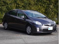 �ץꥦ�� �ӡ��̣ţĥ��ǥ�����󡡥ʥӡ���󥻥��ԣ֡��ã� 1101968A30251228W031 7