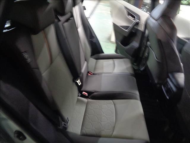 RAV4 Adventure ワンオーナー禁煙車 アルパイン10インチナビ インナーミラー(15枚目)