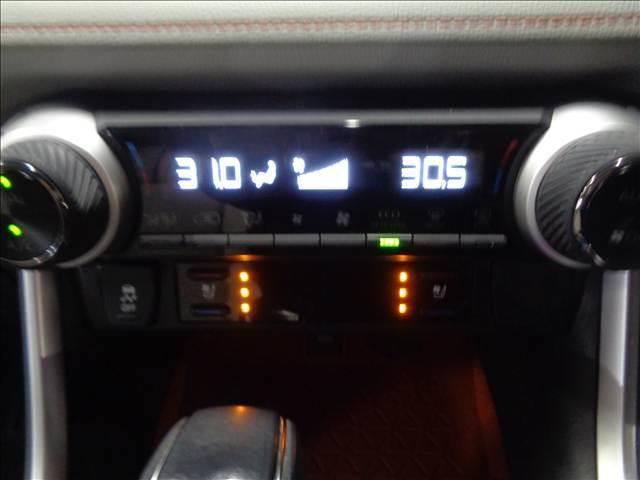 RAV4 Adventure ワンオーナー禁煙車 アルパイン10インチナビ インナーミラー(19枚目)