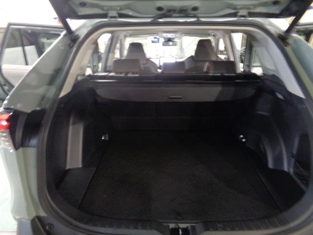RAV4 Adventure ワンオーナー禁煙車 アルパイン10インチナビ インナーミラー(33枚目)