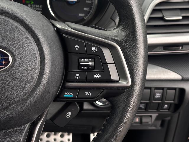 フォレスター アドバンス　４ＷＤ　８インチナビ　サイドカメラ　バックカメラ　フルセグＴＶ　ＤＶＤ　Ｂｌｕｅｔｏｏｔｈ　ＥＴＣ　シートヒーター　ステアリングヒーター　オートクルーズ　ＬＥＤライト（35枚目）
