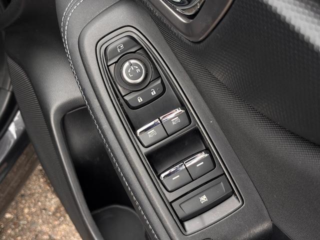 フォレスター アドバンス　４ＷＤ　８インチナビ　サイドカメラ　バックカメラ　フルセグＴＶ　ＤＶＤ　Ｂｌｕｅｔｏｏｔｈ　ＥＴＣ　シートヒーター　ステアリングヒーター　オートクルーズ　ＬＥＤライト（38枚目）