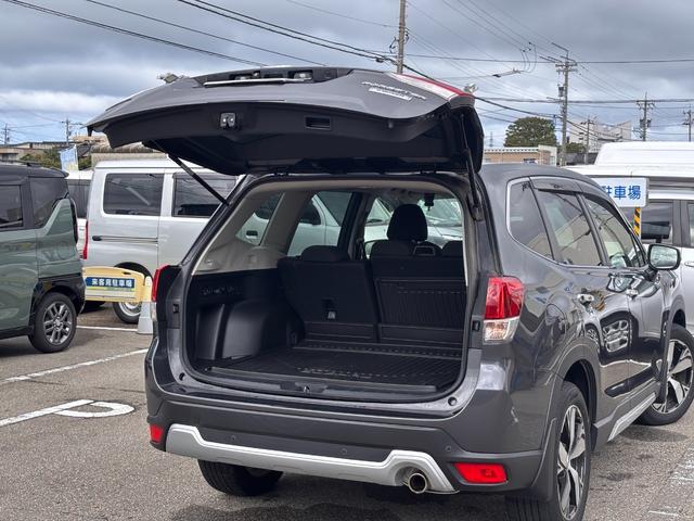 フォレスター アドバンス　４ＷＤ　８インチナビ　サイドカメラ　バックカメラ　フルセグＴＶ　ＤＶＤ　Ｂｌｕｅｔｏｏｔｈ　ＥＴＣ　シートヒーター　ステアリングヒーター　オートクルーズ　ＬＥＤライト（53枚目）