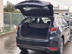 ãءݣ أġץƥ֡ףġʥӡ̥˥ 1150023A30251205W001 7