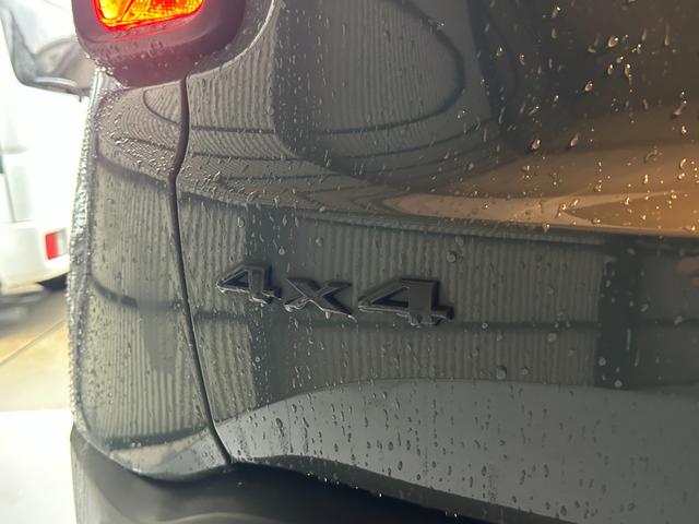 ジープ・レネゲード トレイルホーク　禁煙車　４ＷＤ　テレビ・ナビ・Ｂｌｕｅｔｏｏｔｈ　バックカメラ　クリアランスソナー　オートクルーズコントロール　レーンアシスト　オートライト　　スマートキー　ＥＴＣ　ルーフレール　ステアリングスイッチ（33枚目）