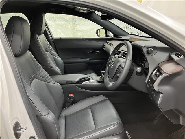 ＵＸ ＵＸ２５０ｈブラウンエディション　フルセグ　メモリーナビ　ＤＶＤ再生　ミュージックプレイヤー接続可　バックカメラ　衝突被害軽減システム　ＥＴＣ　ドラレコ　ＬＥＤヘッドランプ　ワンオーナー（17枚目）